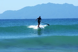 Surfer vor Great Barrier Island